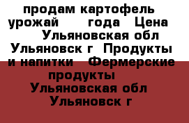 продам картофель. урожай 2017 года › Цена ­ 50 - Ульяновская обл., Ульяновск г. Продукты и напитки » Фермерские продукты   . Ульяновская обл.,Ульяновск г.